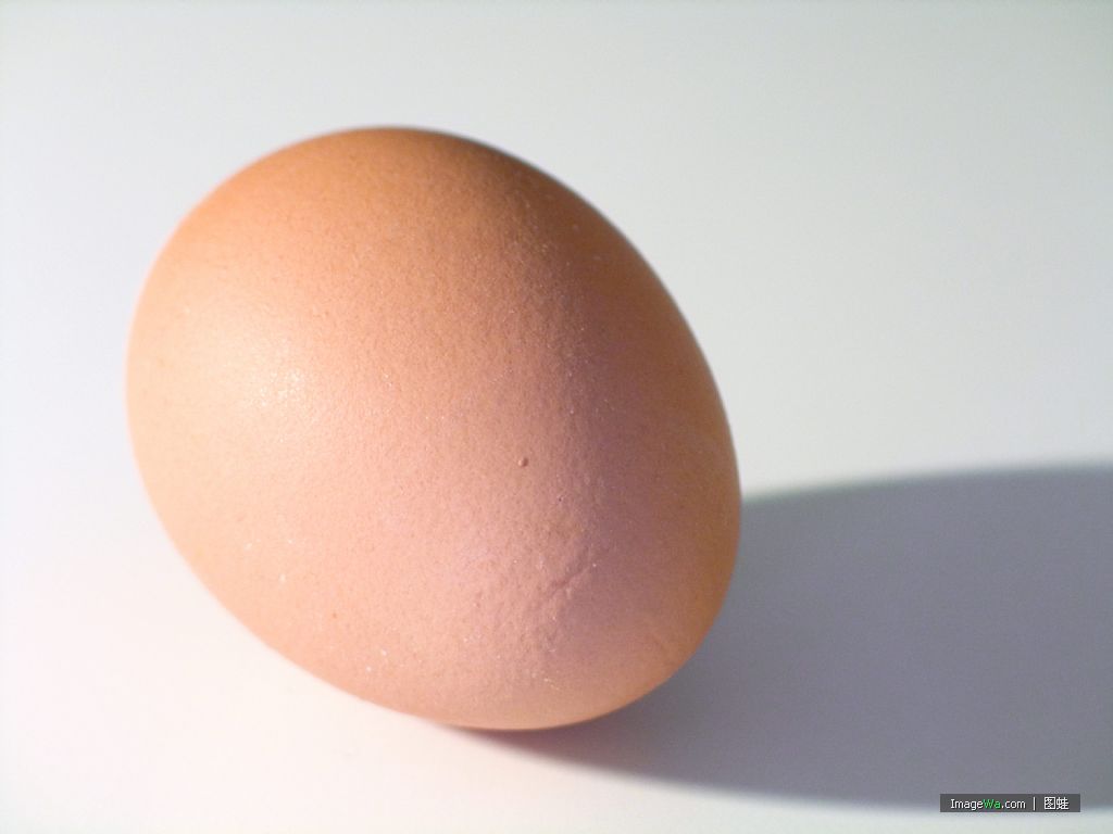 egg(词典解释)