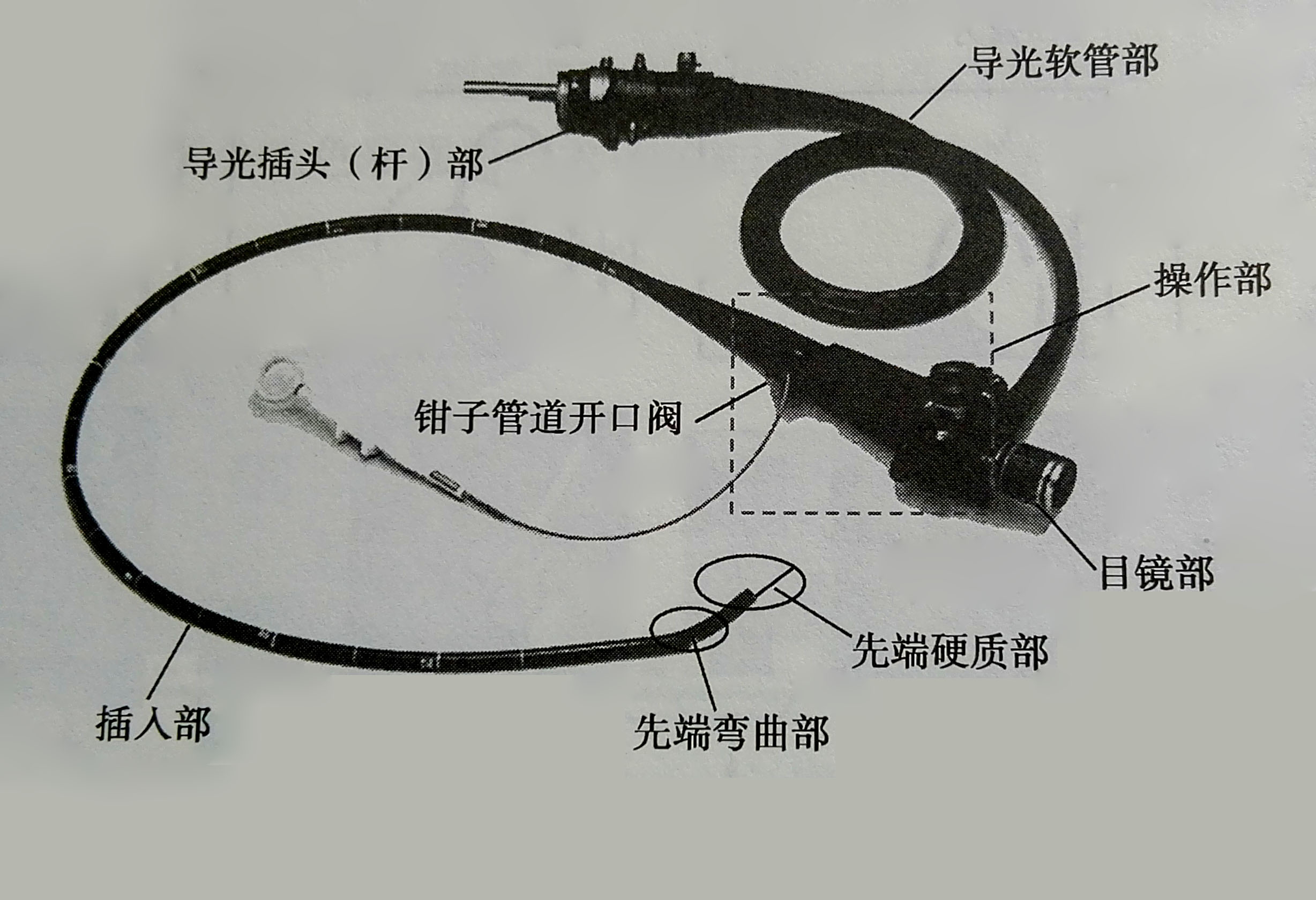 纤维内窥镜:发展史,结构和原理,纤维内窥镜的分类,镜