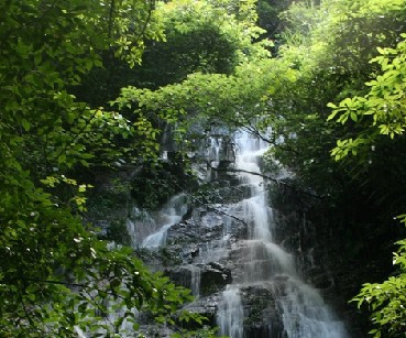 丫山卧龙谷