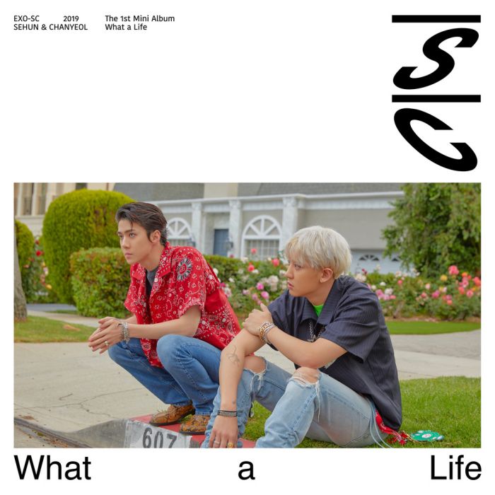 What a life(韓國男子演唱組合EXO-SC演唱歌曲)