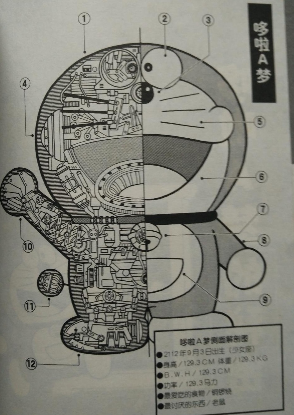 最新版哆啦A夢大事典