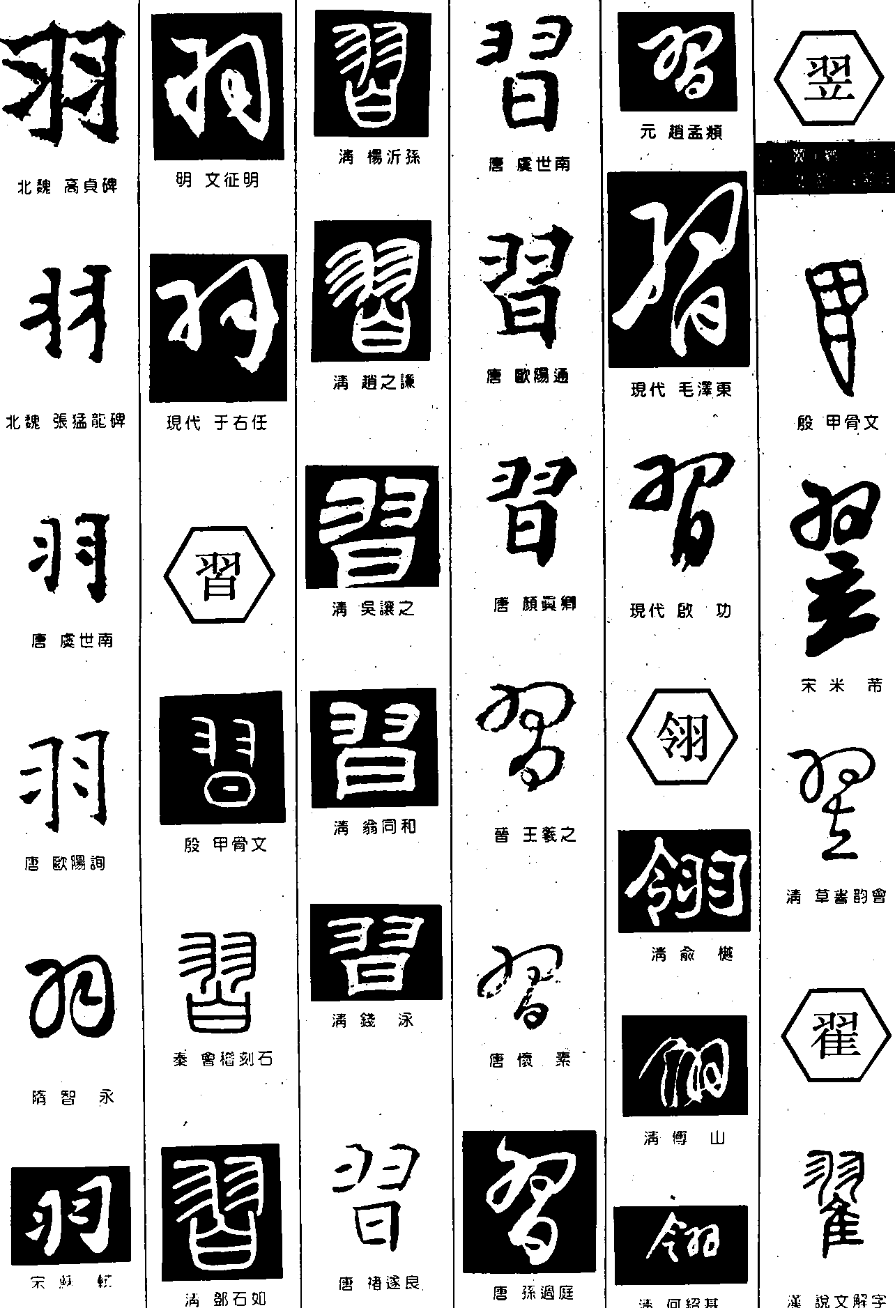 羽姓