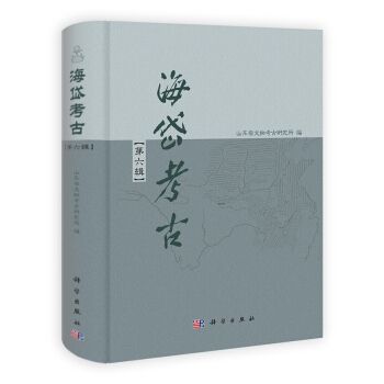 海岱考古（第6輯）