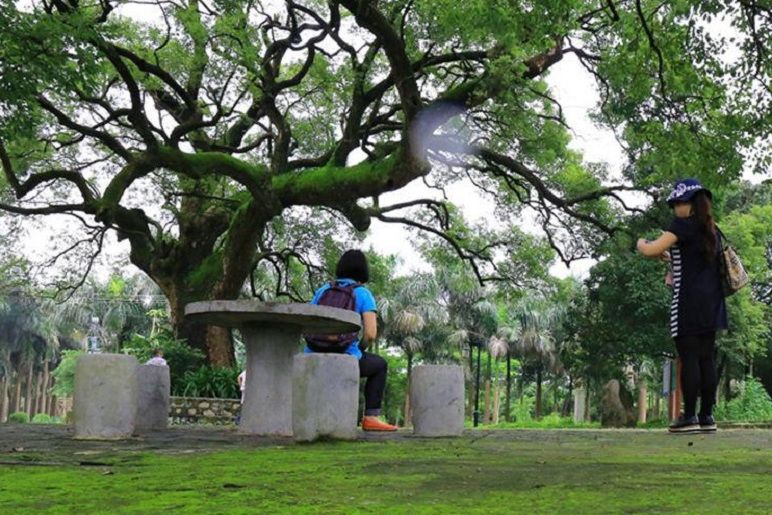 周田古樹公園