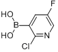 2-氯-5-氟吡啶-3-硼酸