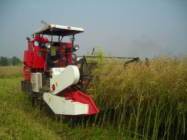 油菜籽聯合收割機