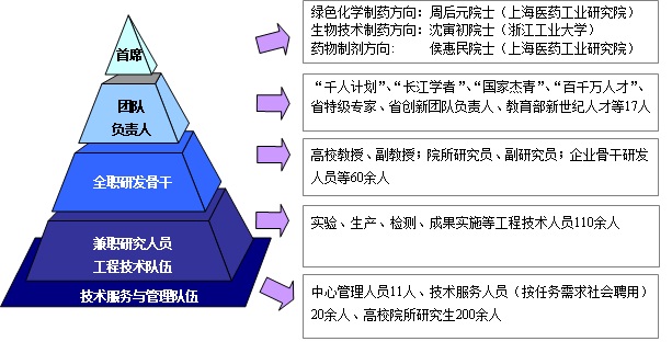 人才隊伍梯隊