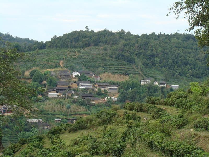 營盤山村(雲南省保山昌寧縣雞飛鄉下轄村)