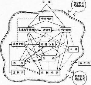 淡水生物學