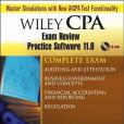 Wiley CPA Examination Review Practice Software 11.0