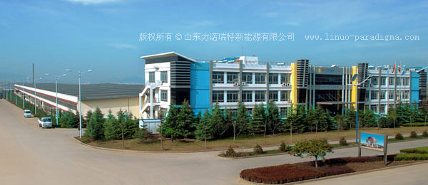 Shandong Linuo Paradigma Co.,Ltd