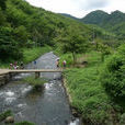 下溪村(湖南省郴州市桂陽縣和平鎮下轄村)