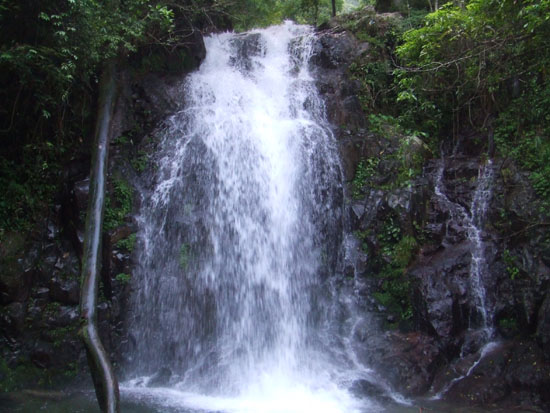 湖南千家峒國家森林公園(千家峒國家森林公園)