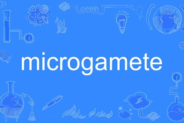 microgamete