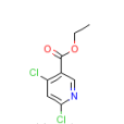 4,6-二氯煙酸乙酯