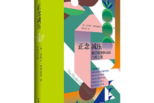 正念減壓(2021年中國青年出版社出版的圖書)