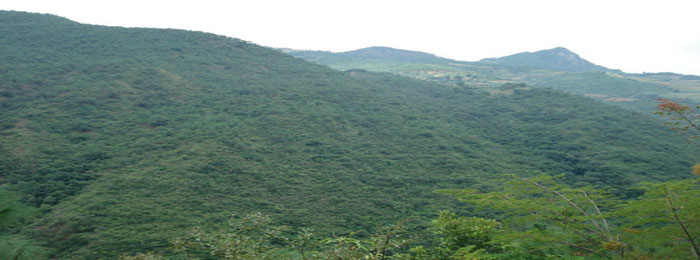 六峰山國家森林公園