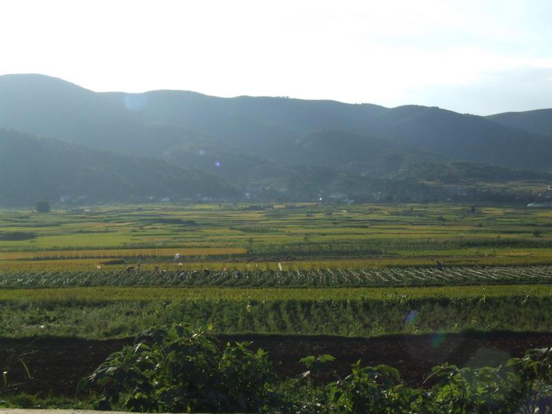 石榴壩村耕地