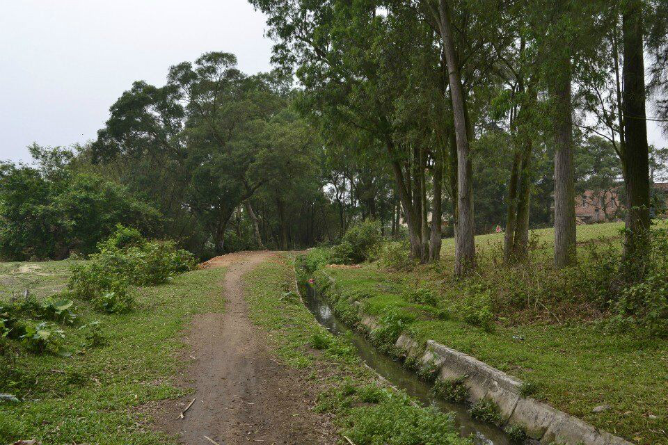 大苑村(廣東省茂名市高州市石鼓鎮黑坭山大遠村)