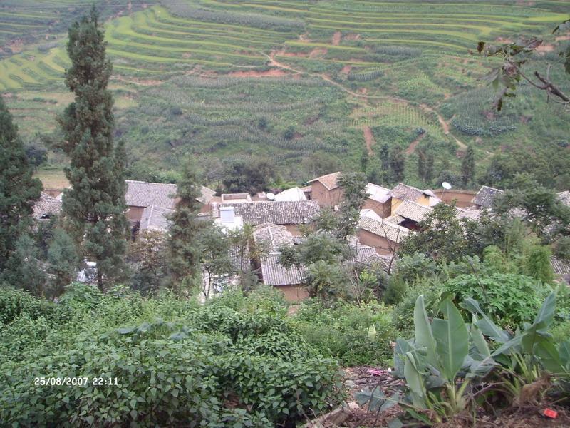 大核桃樹村