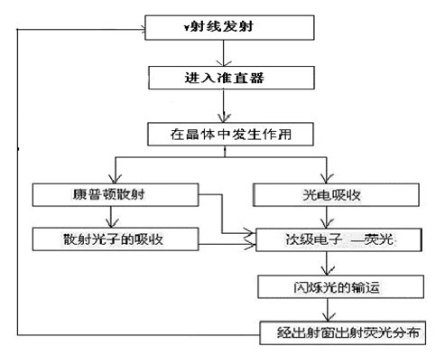 伽瑪照相機