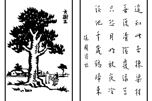 大樹王(護生畫集中的文章)