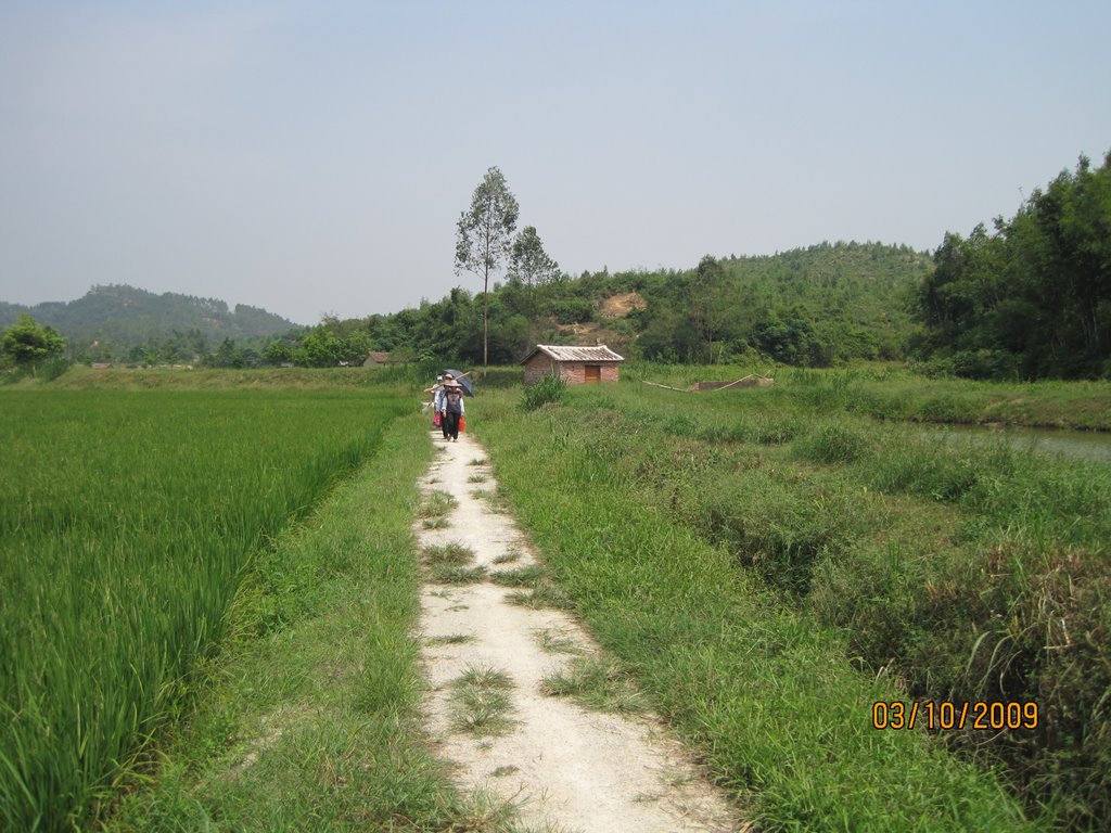 米田村(雲南省昭通永善縣蓮峰鎮米田村村民委員會)