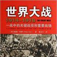 世界大戰1914-1918：一戰中的關鍵