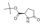 D-焦谷氨酸叔丁酯