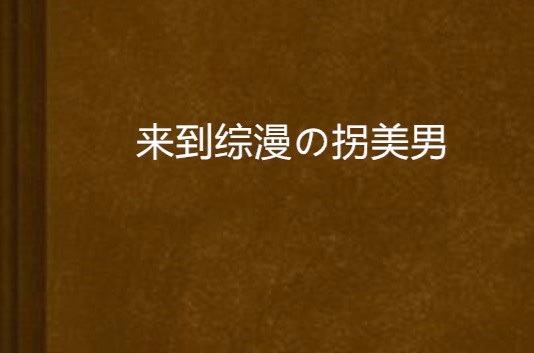 來到綜漫の拐美男