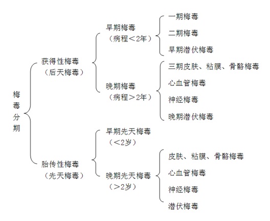 一期梅毒