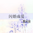 閃婚成愛(夏沫君著網路小說)