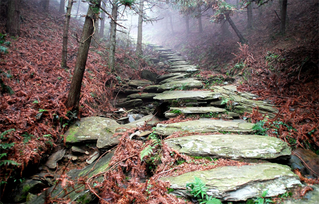 嶺南青鹽古道