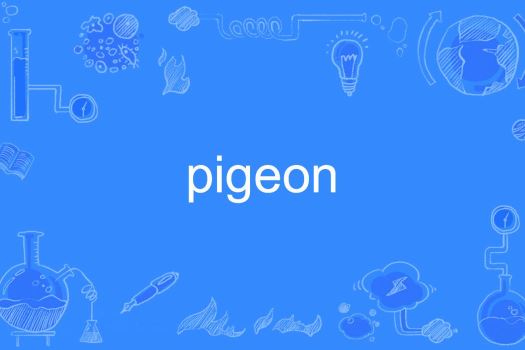 pigeon