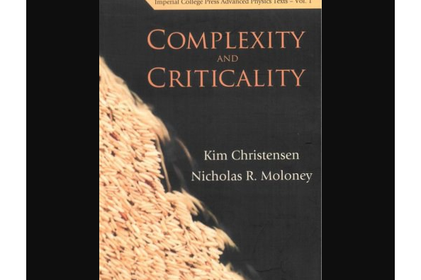 Complexity and Criticality