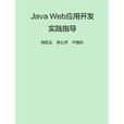 Java Web套用開發實踐指導