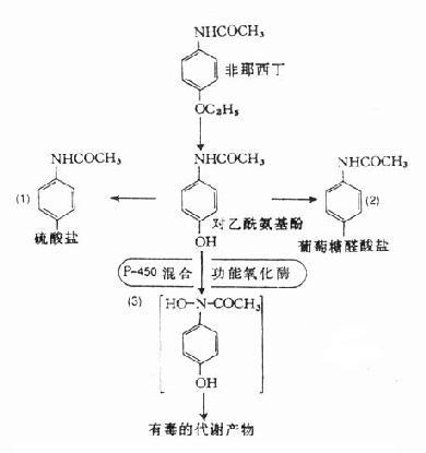 己糖醛酸