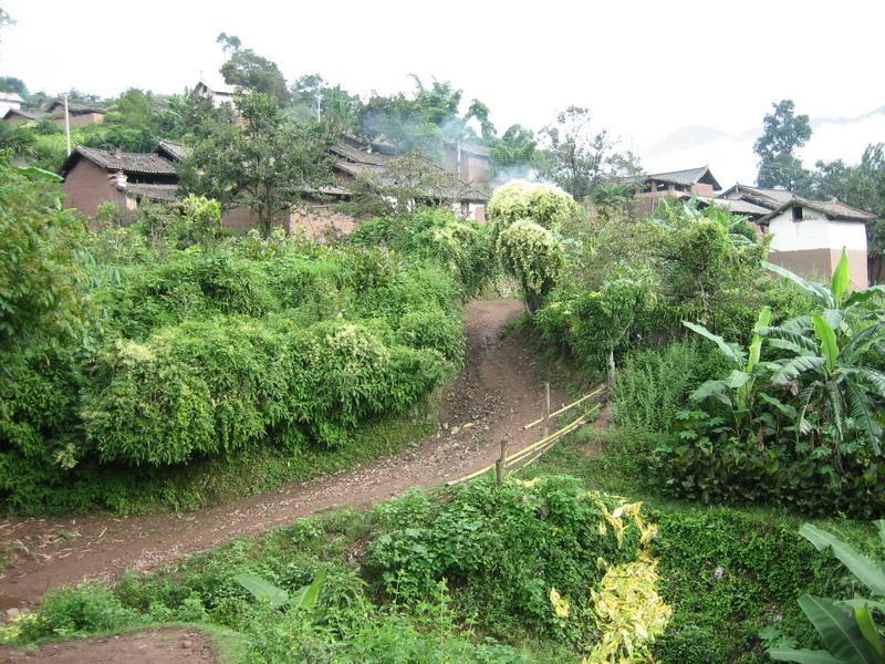 菜園子自然村(雲南文山州蓮花塘鄉下轄村)