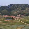 溝東村(山東萊西市日莊鎮下轄村)