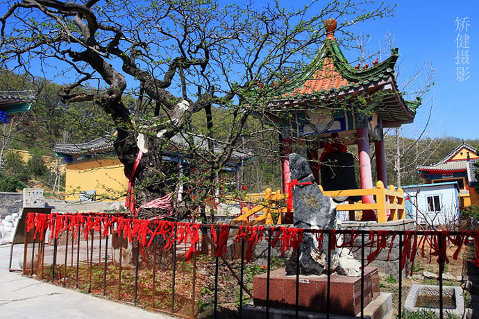 九蓮寺(江西瑞昌寺廟)