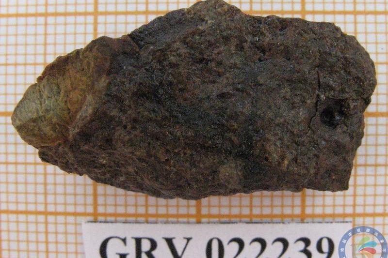 南極隕石GRV022239