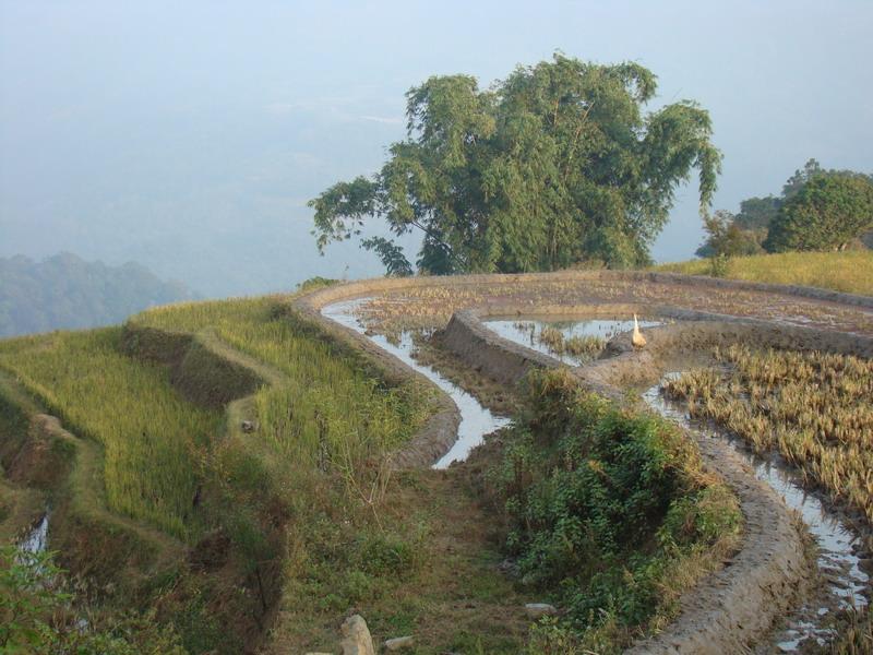 洛馬河村