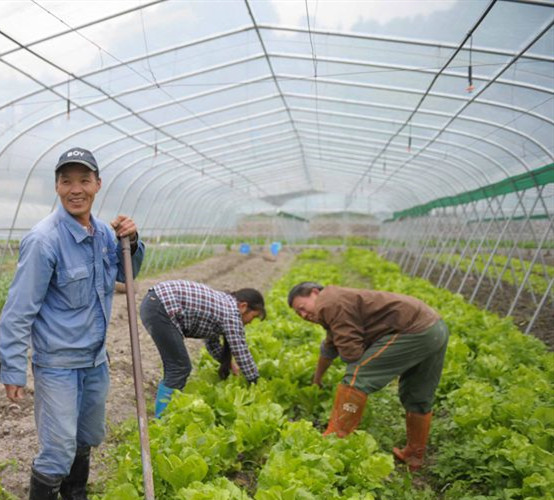 溪下村(浙江省溫州市永嘉縣溪下鄉溪下村)