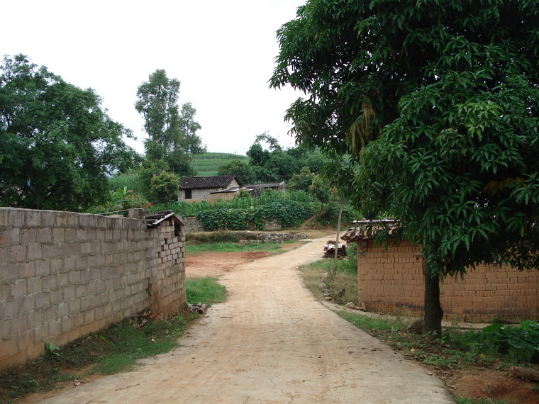 進村路