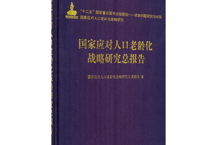 國家應對人口老齡化戰略研究總報告