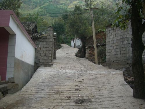 大坪子村(雲南省大理市雲龍縣民建鄉大坪子村)