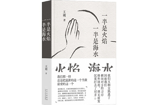 一半是火焰一半是海水(2024年北京十月文藝出版社出版的圖書)