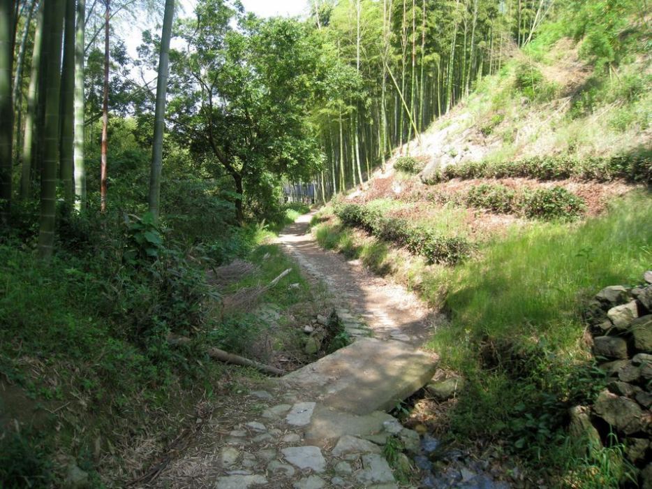 大桃花嶺古道