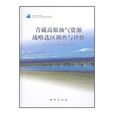 青藏高原油氣資源戰略選區調查與評價