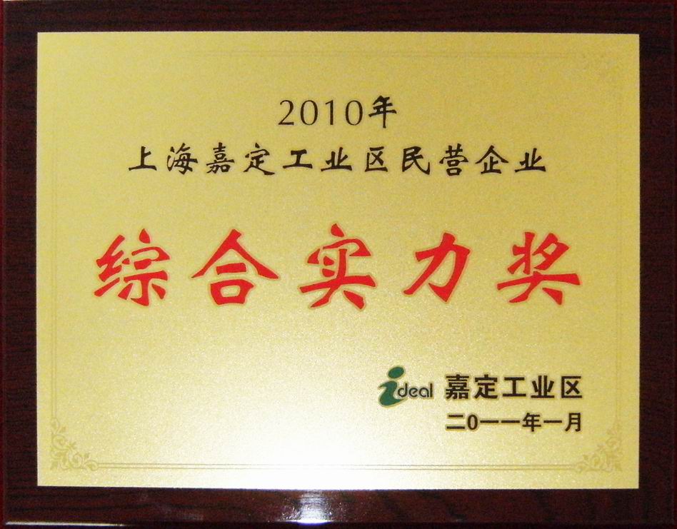 2010年上海市嘉定工業區民營企業綜合實力獎